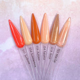 Charme Gel Rainbow Lover Orange Collection / 6 Colors Creme, Reflective Glitter, Jelly, Tinted Glass