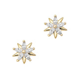 Star Snowflake / Zircon Charm / Gold / Clear Crystal 3D Nail Art Christmas Holiday Winter Wonderland