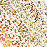 Nail Art Foil Box / 6 Designs / Summer Fruit Strawberry Lemon Coconut Tropical Designs