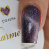 Charme Gel / Cat Eye C23 Astra Plum Purple Polish Galaxy Nail