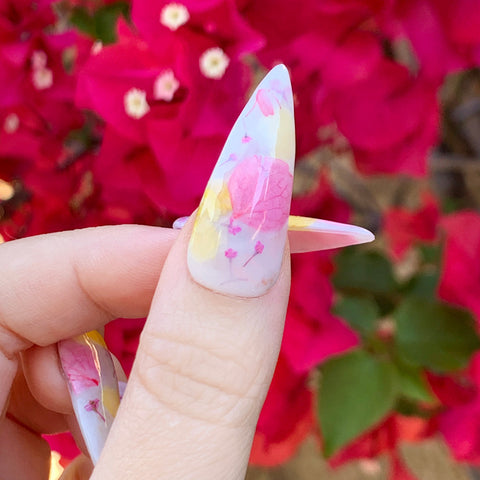 Charme Gel / Jelly J02 Milk Bath Sheer White Dry Flower Nail Art