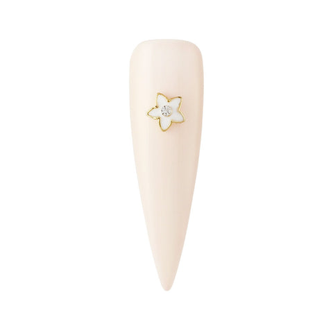 White Holiday Wildflower Daisy Holly Nail Decors 