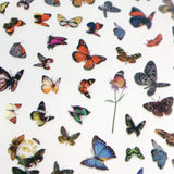 Trendy Butterfly Nail Art Sticker / Oriental Red Blue Dark Fall Autumn Style