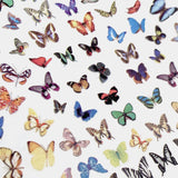 Trendy Butterfly Nail Art Sticker / Exotic Zebra Summer Spring Design