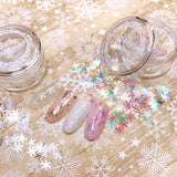 Daily Charme Nail Art Glitter Holiday Snowflake Glitter / Icy
