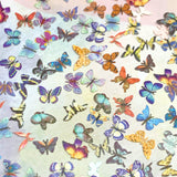 Delicate Soft Paper Glitter Mix / Rainbow Butterflies Nail Art
