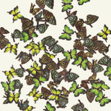 Delicate Soft Paper Glitter / Viridescent Butterflies Green Nail Art