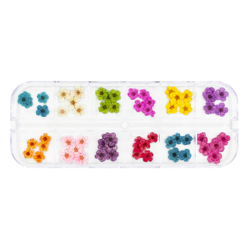 Pressed Dry Natural Petal Flower Set / 12 Colors Daily Charme Spring Nail Art Decoration Pressed Dry Natural Flower