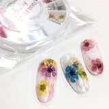 Daily Charme Spring Nail Art Decoration Pressed Dry Natural Flower