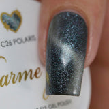 Charme Gel / Cat Eye C25 Polaris Gunmetal Gray Silver Galaxy Polish