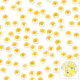Swarovski Round Flatback Rhinestone / Sunshine DeLite