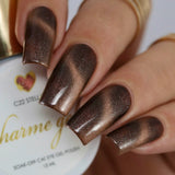 Charme Gel / Cat Eye C22 Stellar Brown Dark Beige Rose Gold Galaxy Polish