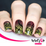 Daily Charme Nail Supply Stamping Plates Whats Up Nails / Majestic Flowers