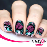 Daily Charme Nail Supply Stamping Plates Whats Up Nails / Classy and Sassy