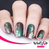 Daily Charme Whats Up Nails Stamping Plate / Floralize Your Texture