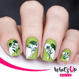 Daily Charme Whats Up Nails Stamping Plate / Floralize Your Texture