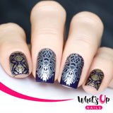 Daily Charme Nail Supply Stamping Plates Whats Up Nails / Middle Eastern Vibes