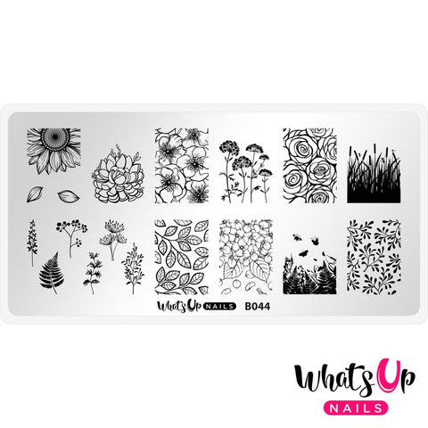 What's Up Nails Metal Stamping Plates daily charme Solo nails Nail Art Supplies From Ground Comes Life nature sunflower sunflowers leaves roses cattails flower flowers petals succulent cactus cacti spring butterfly butterfliesbee bees cutting cuttings floral flora geranium geraniums fern ferns lavender