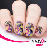 What's Up Nails Metal Stamping Plates daily charme Solo nails Nail Art Supplies From Ground Comes Life nature sunflower sunflowers leaves roses cattails flower flowers petals succulent cactus cacti spring butterfly butterfliesbee bees cutting cuttings floral flora geranium geraniums fern ferns lavender
