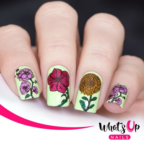 Whats Up Nails Stamping Plate / Petal to the Metal Floral Print