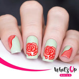 Daily Charme Whats Up Nails Stamping Plate / Nailsandtowel