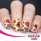 Daily Charme Whats Up Nails Stamping Plate / Nailsandtowel