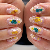 Pressed Dry Natural Petal Flower Set / 12 Colors