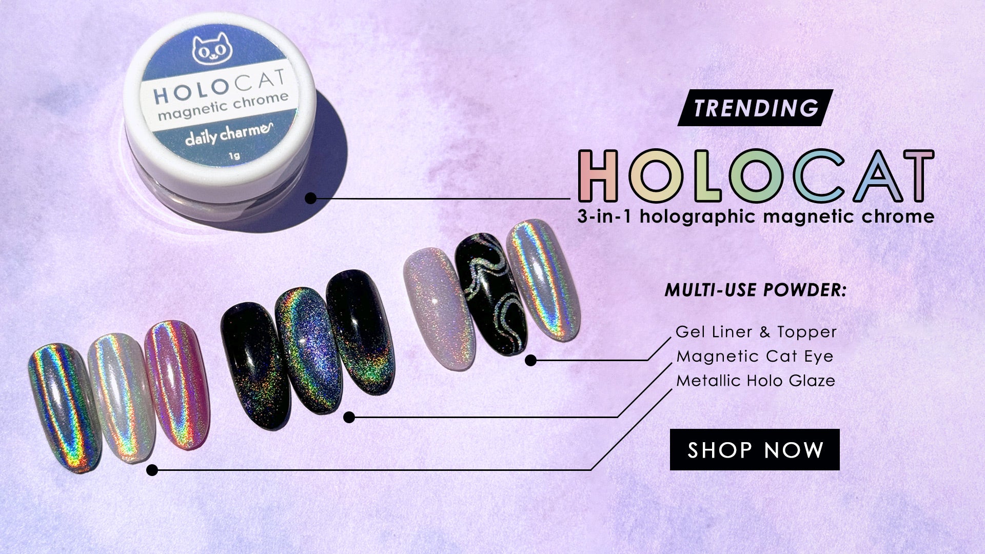 HoloCat Magnetic Chrome Powder for Nail Art Holographic