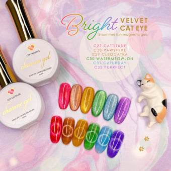 Charme Gel Bright Velvet Cat Eye Magnetic Polish / 6 Colors Rainbow Red Blue Green Purple Ombre Nail Trend