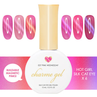 Charme Gel Magnetic Nail Polish Hot Girl Silk Cat Eye Summer Pink  Purple Collection 6 Colors