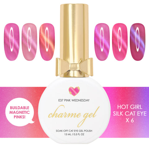 Charme Gel Magnetic Nail Polish Hot Girl Silk Cat Eye Summer Pink  Purple Collection 6 Colors