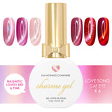 Nail Polish Magnetic Pink Red Charme Gel Love Song Cat Eye Collection Valentine's Day
