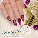 Charme Gel / Cat Eye E60 Mulled Wine Season Berry Purple Sparkle Christmas Festive Magnetic Flash Plum