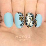 Daily Charme Nail Art Stamping Plate Moyou London Crazy Cat Lady 04 - Sweet Kittens