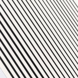 Daily Charme Thin Lines Nail Art Sticker / Black Geometric Stripes