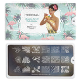 Daily Charme Nail Supply Nail Art Moyou London Stamping plate Tropical 28