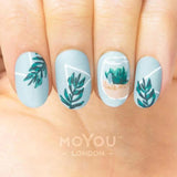 Moyou London Nail Art Stamping Botanical 09 - Cute Succulents