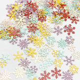 Delicate Soft Paper Glitter Mix / Colorful Snowflakes Nail Art