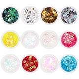 Iridescent Holographic Bubble Rings Glitter Mix / 12 Jars Nail Art