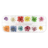 Daily Charme Nail Art Decoration Pressed Dry Natural Flower Set / 12 Colors