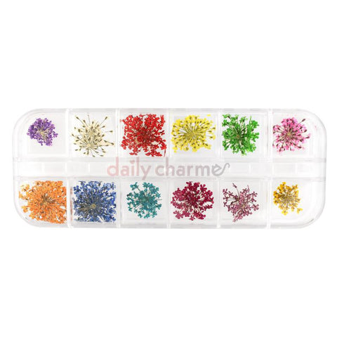 Daily Charme Nail Art Decoration Pressed Dry Natural Flower Set / 12 Colors