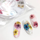 Daily Charme Spring Nail Art Decoration Pressed Dry Natural Flower 