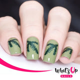 Daily Charme Nail Vinyl Sticker Whats Up Nails / Evergreen Stencils
