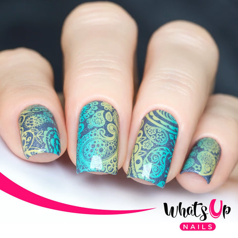 Daily Charme Nail Supply Stamping Plates Whats Up Nails / Paisley Buffet