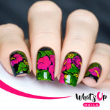 Daily Charme Nail Supply Stamping Plates Whats Up Nails / Floral Paradise