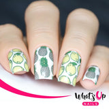 Daily Charme Nail Supply Stamping Plates Whats Up Nails / Summer Seeds