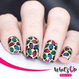 What's Up Nails Metal Stamping Plates daily charme Solo nails Nail Art Supplies winter time christmas december winter happy holiday cute kawaii penguins gingerbread man ferm tree sweater weather cold icy snow rudolph the red nose raindeer evergreen string of lights pattern flannel plaid merry candy can stripes baked goodies enchanted frosty cold frost