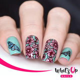 Daily Charme Nail Supply Stamping Plates Whats Up Nails / Tropical Escape