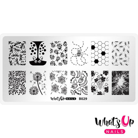 Whats Up Nails / Picnic in the Park Nail Stamping Plate