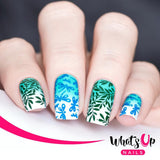Whats Up Nails / Picnic in the Park Nail Stamping Plate